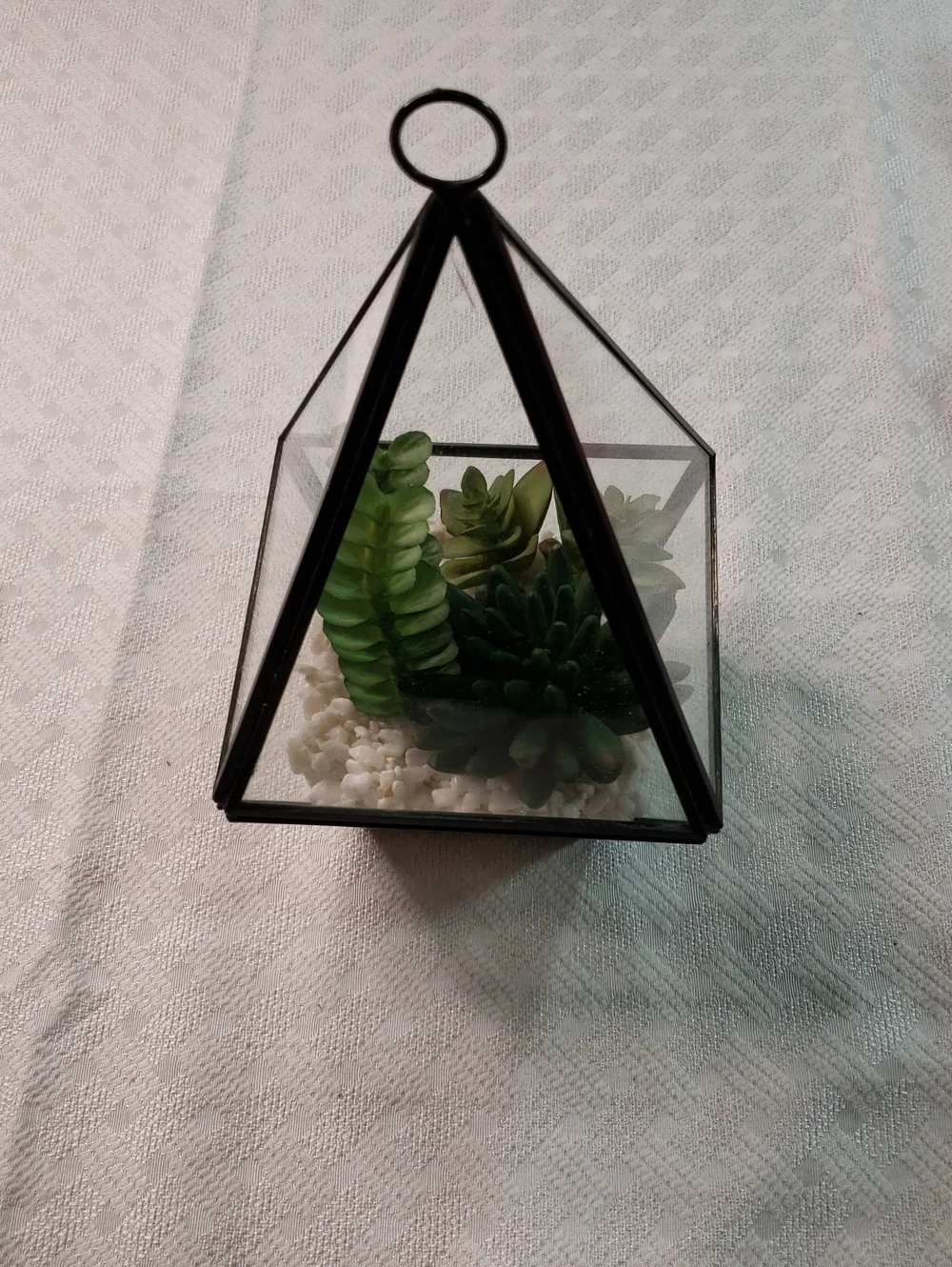 Source Unknown Black Pyramid Glass Terrarium with Green Faux Succulents